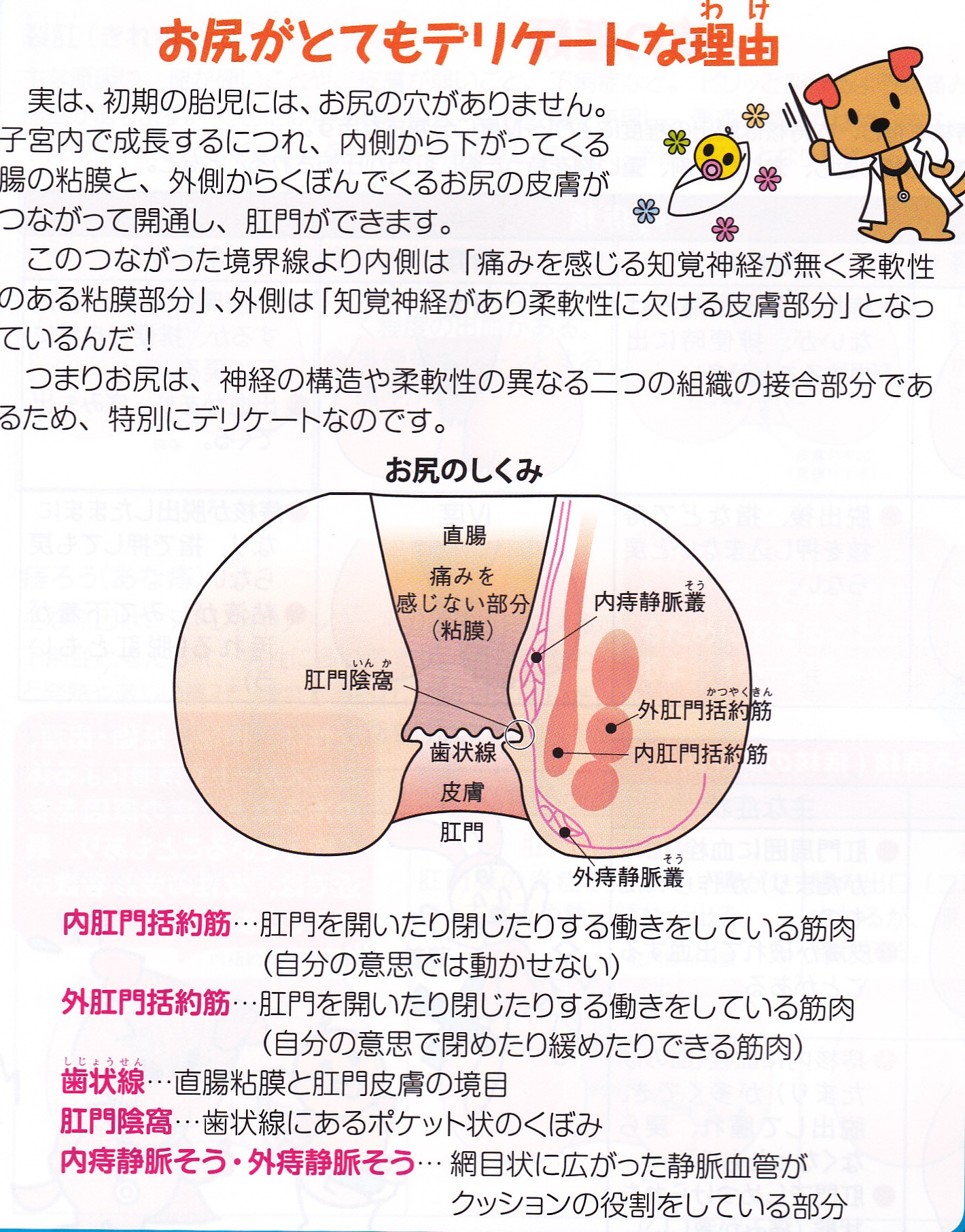 おしり の あな でき もの 痛く ない